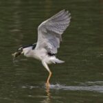 超凡国际在全球化进程中的角色与影响 2sogmxl