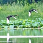 豪门国际pg:如何在豪门中建立自己的品牌 48xfjamd77