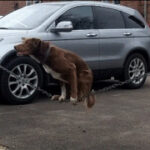 凯旋国际娱乐的未来发展趋势与市场分析 659al0j1fd