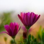 C7娱乐:虚拟现实技术在娱乐中的应用 9gaeb67f