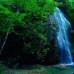 豪门国际pg:从普通到豪门的蜕变之路 gify2sv3