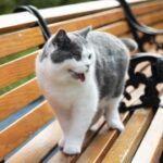 C7娱乐:娱乐行业中的法律与伦理问题 ini3t0