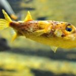 凯旋国际的客户评价与入住体验分享 nfve7lxh4